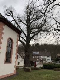 Linde Kirche (4)